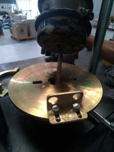 WhatsApp Image 2024-09-25 at 16.29.56 (1)